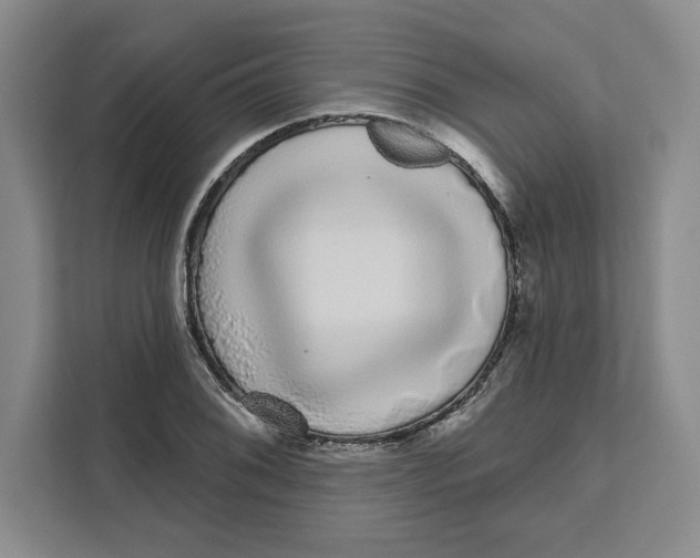 X0000111621076200908071346