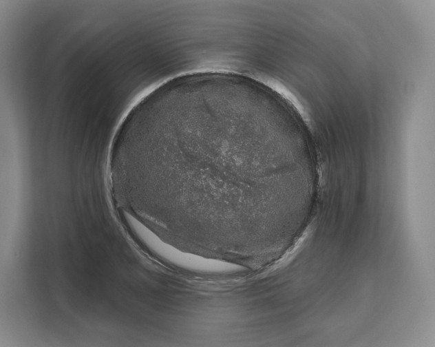 X0000111621077200908071346