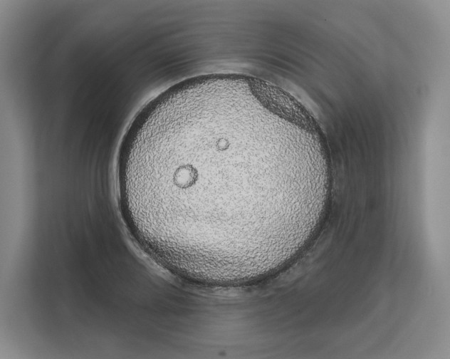 X0000111621080200908071346