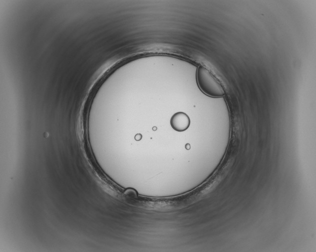 X0000111621082200908071346