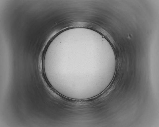 X0000111621083200908071346