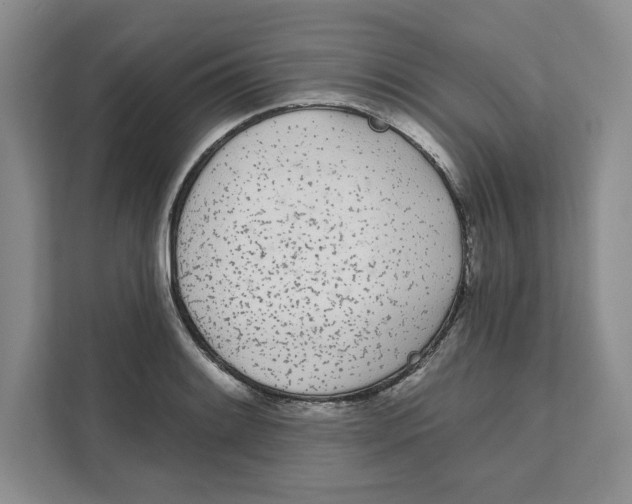 X0000111621084200908071346