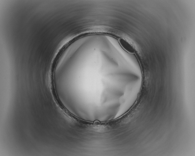 X0000111621085200908071346