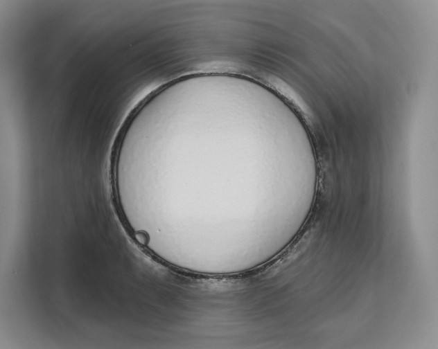 X0000111621087200908071346