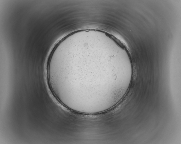 X0000111621088200908071346