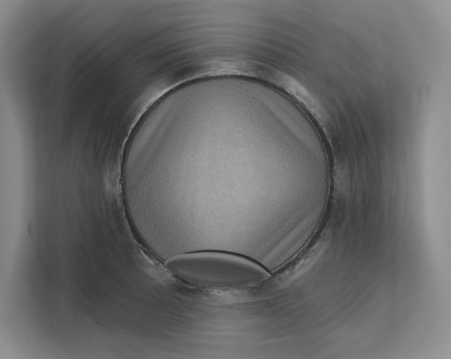 X0000111621089200908071346