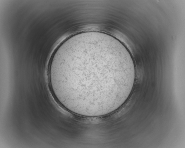 X0000111621090200908071346