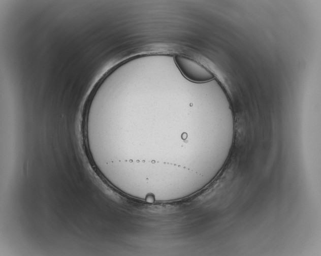 X0000111621091200908071346