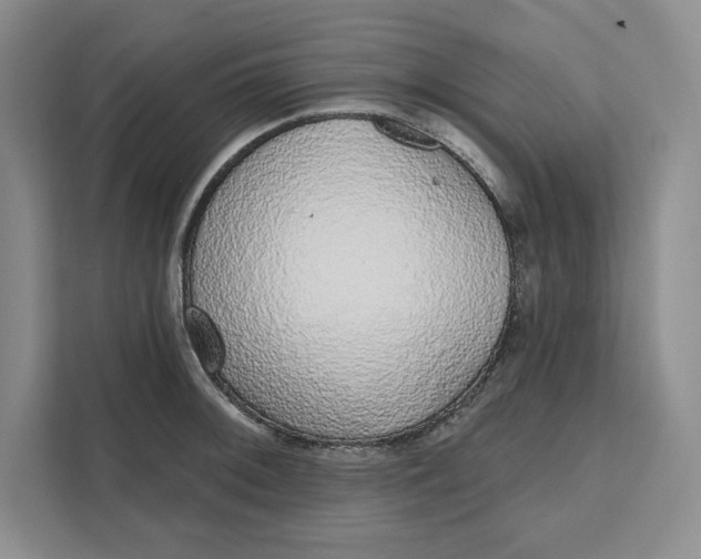 X0000111621092200908071346