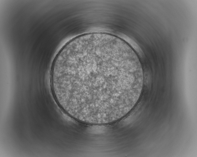 X0000111621094200908071346