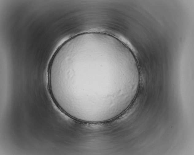 X0000111621095200908071346