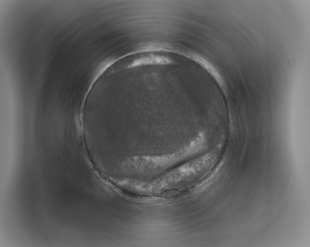 X0000111621097200908071346