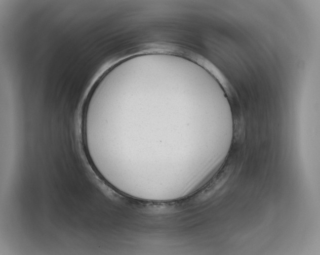 X0000111621099200908071346