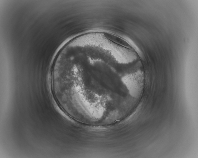 X0000111621100200908071346