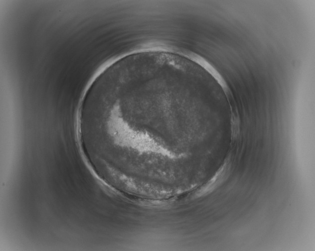 X0000111621101200908071346