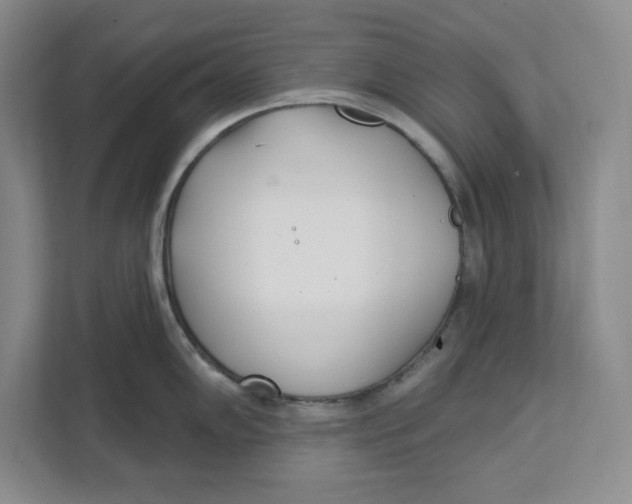 X0000111621102200908071346