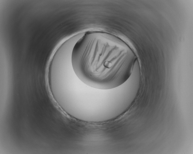 X0000111621104200908071346