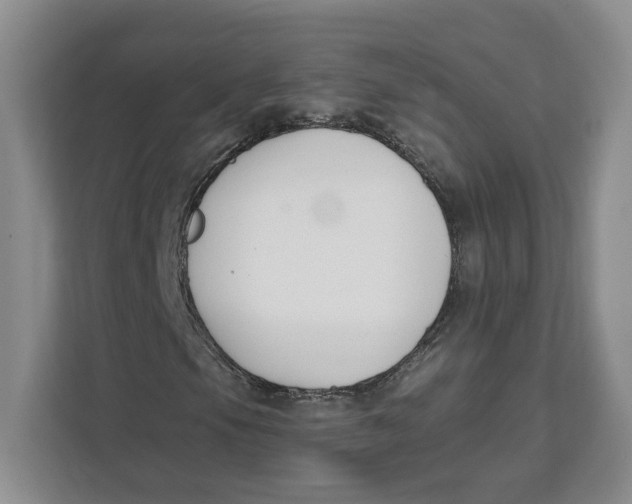 X0000111621105200908071345