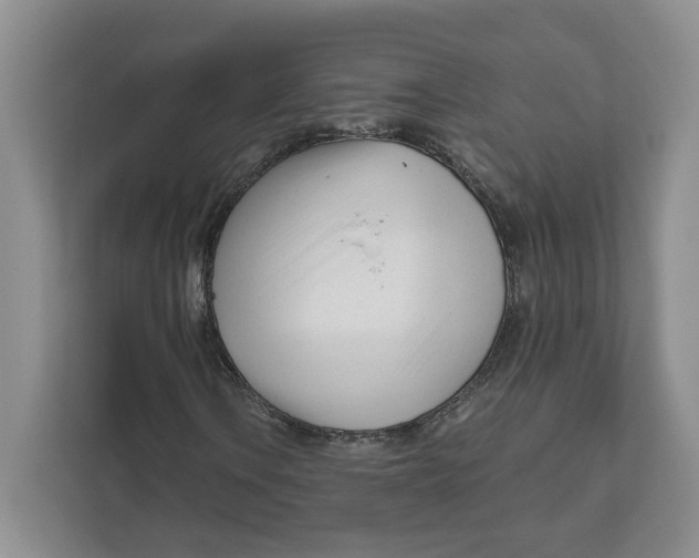 X0000111621106200908071345