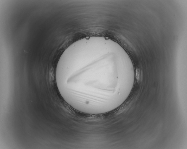 X0000111621107200908071345