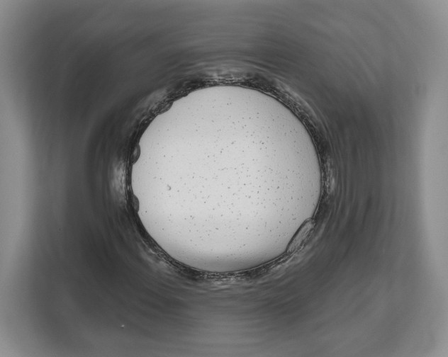 X0000111621108200908071345