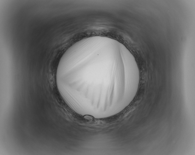 X0000111621109200908071345