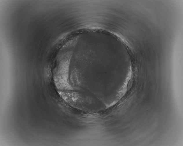 X0000111621110200908071345