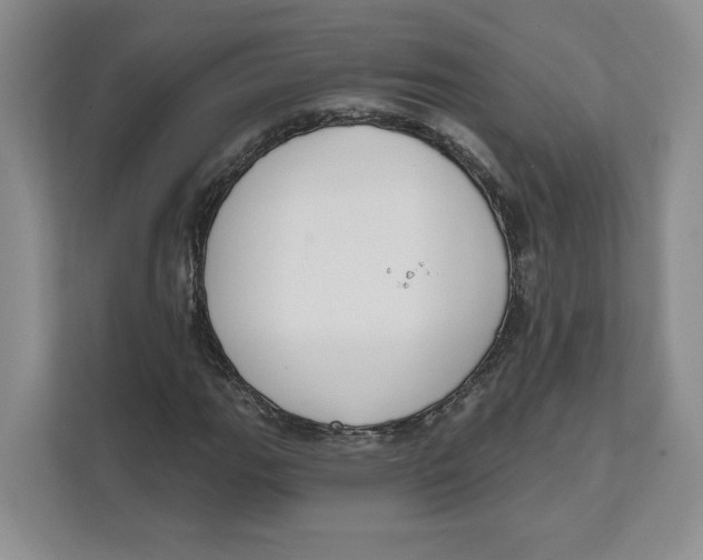 X0000111621111200908071345