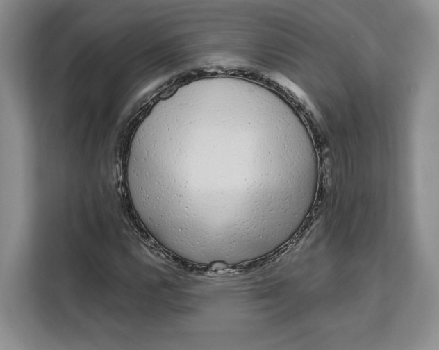 X0000111621112200908071345