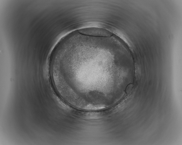 X0000111621116200908071345