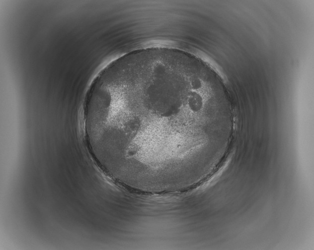 X0000111621117200908071345