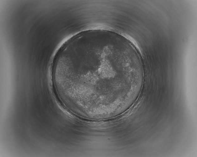 X0000111621120200908071345