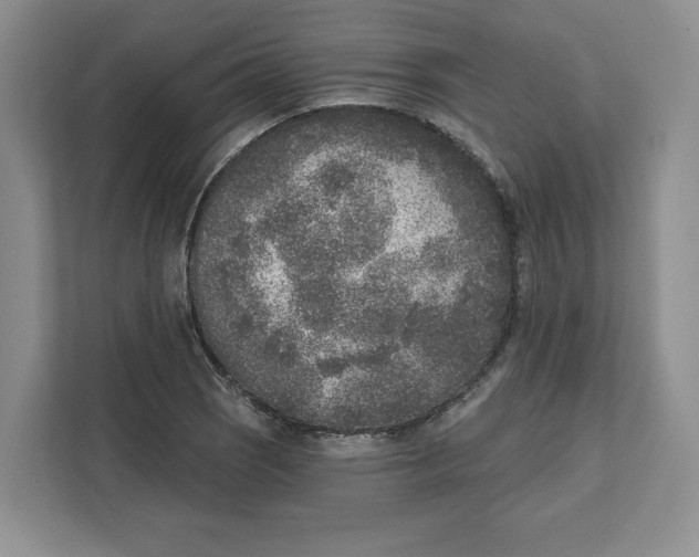 X0000111621121200908071345