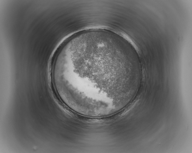 X0000111621124200908071345