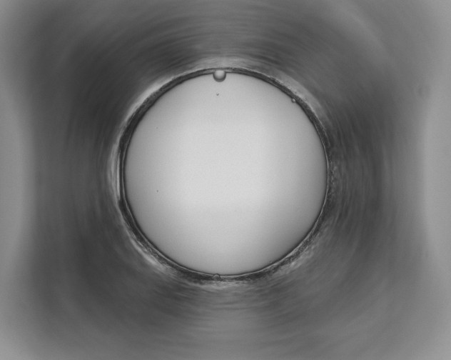 X0000111621127200908071345