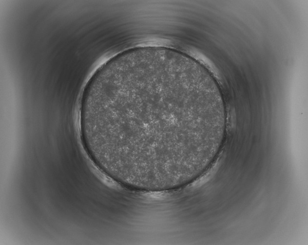 X0000111621130200908071345