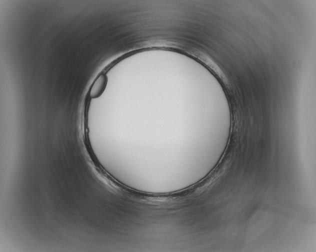 X0000111621132200908071345