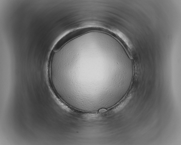 X0000111621134200908071345