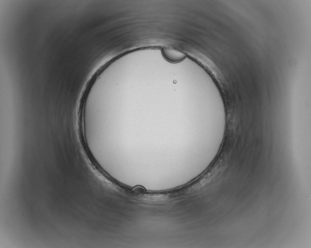 X0000111621135200908071345