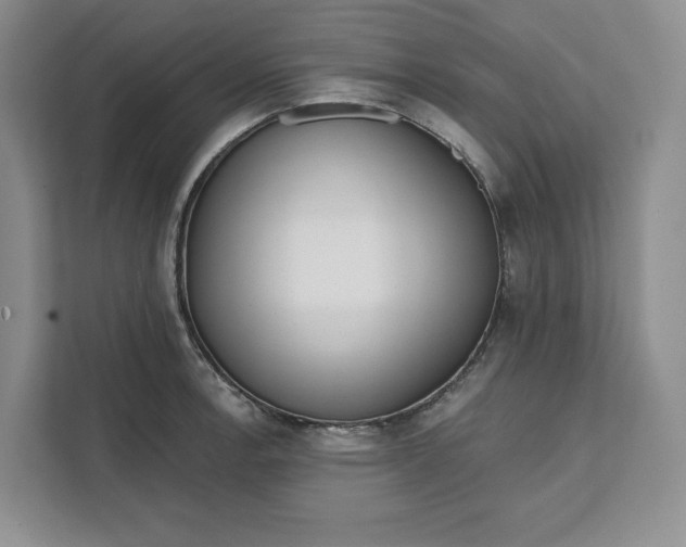 X0000111621138200908071345