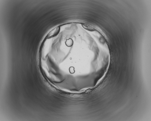 X0000111621140200908071345