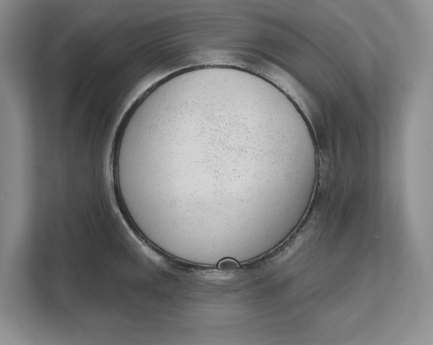 X0000111621141200908071345