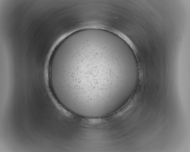 X0000111621144200908071345