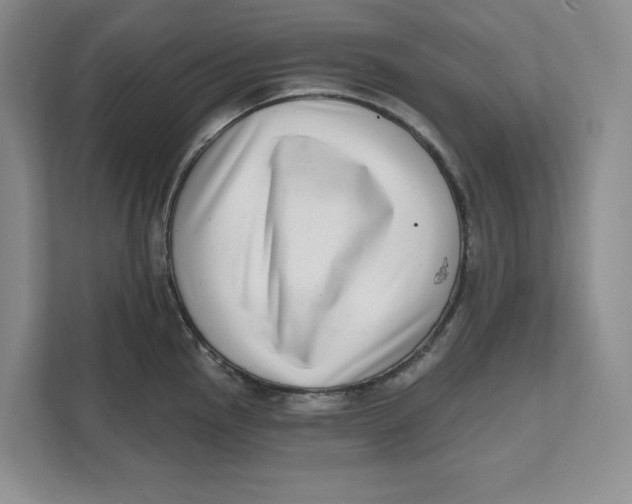 X0000111621145200908071345