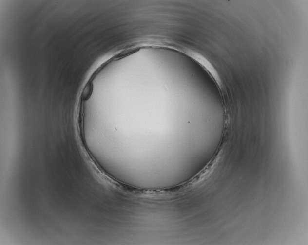 X0000111621146200908071345