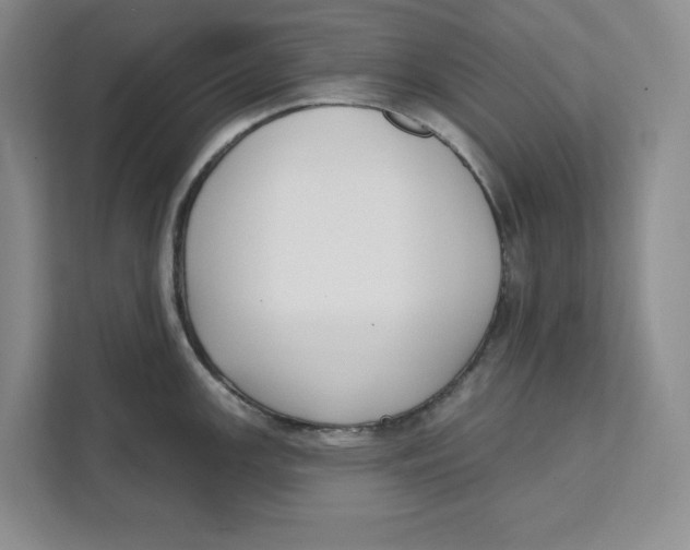 X0000111621147200908071345