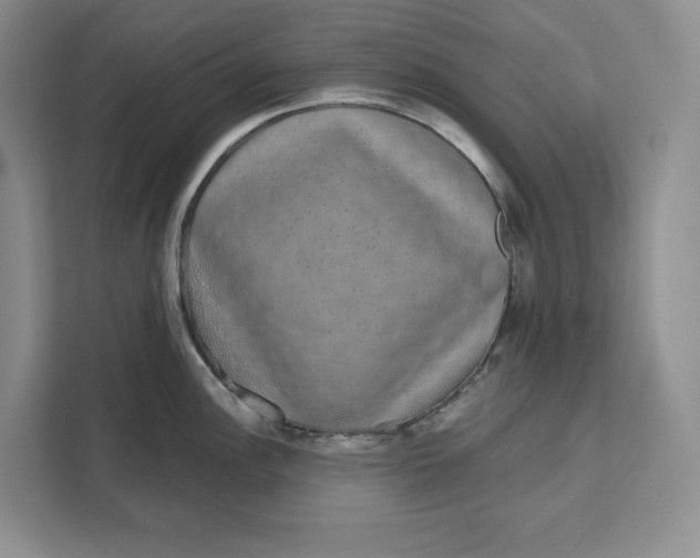 X0000111621148200908071345