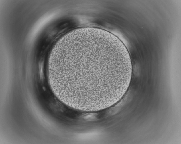 X0000111621150200908071345