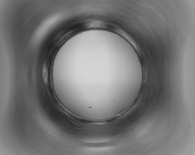 X0000111621151200908071346