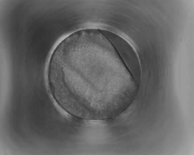 X0000111621152200908071346